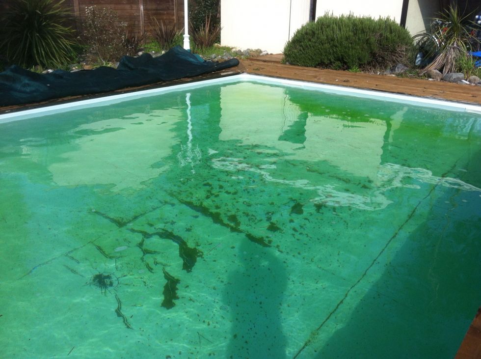 Anti algue et anti phosphate pour piscine